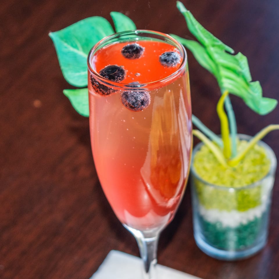 A vibrant red drink with blueberries and bubbles in a tall glass, next to a small green plant.